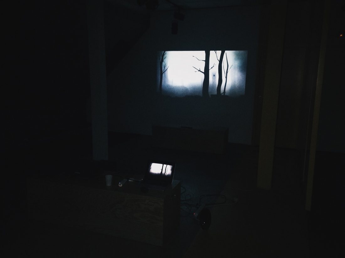 Mirage Festival - Installation - Shadows in the woods