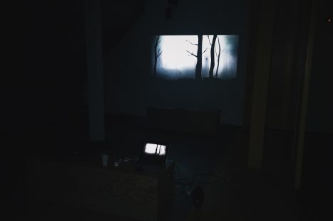 Mirage Festival - Installation - Shadows in the woods